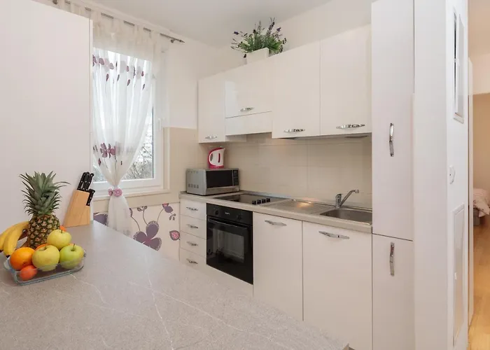 Apartment Apartments Arijana Free Private Garage And Sea View