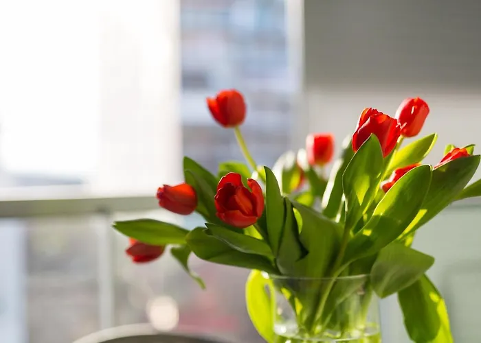 Apartments Arijana Free Private Garage And Sea View Split