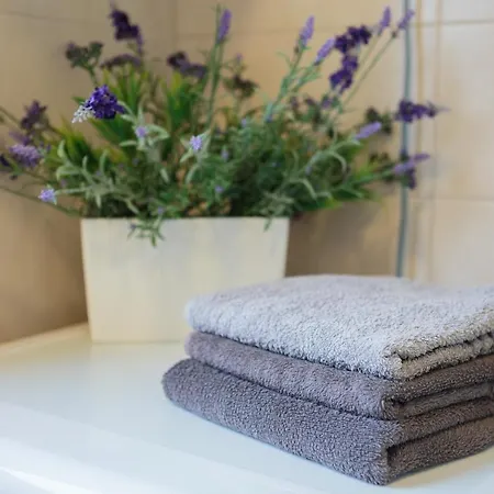 Arijana Free Private Garage Apartamento