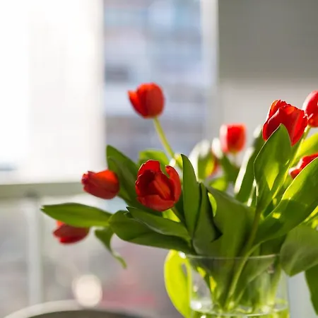 Arijana Free Private Garage Σπλιτ